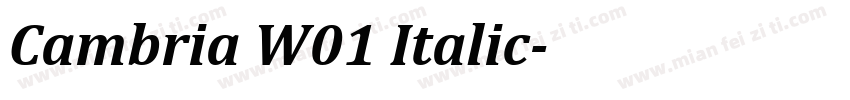 Cambria W01 Italic字体转换